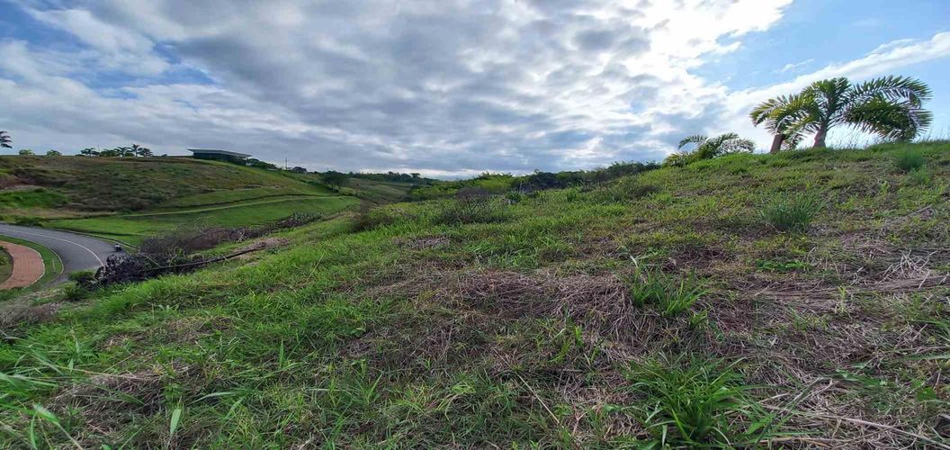 Lote en venta en Cerritos, Pereira · foto 7 de 13