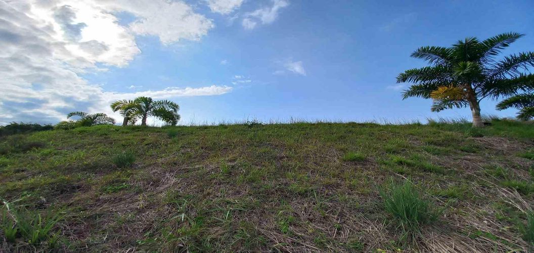 Lote en venta en Cerritos, Pereira · foto 8 de 13