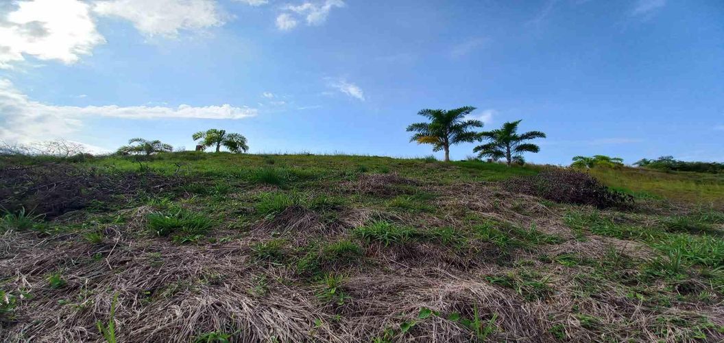Lote en venta en Cerritos, Pereira · foto 11 de 13