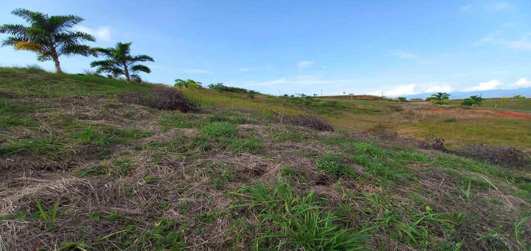 Lote en venta en Cerritos, Pereira · foto 12 de 13