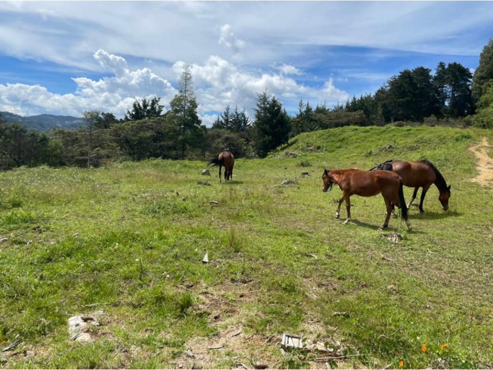 Land in Santa Elena (65 m²) for Sale
