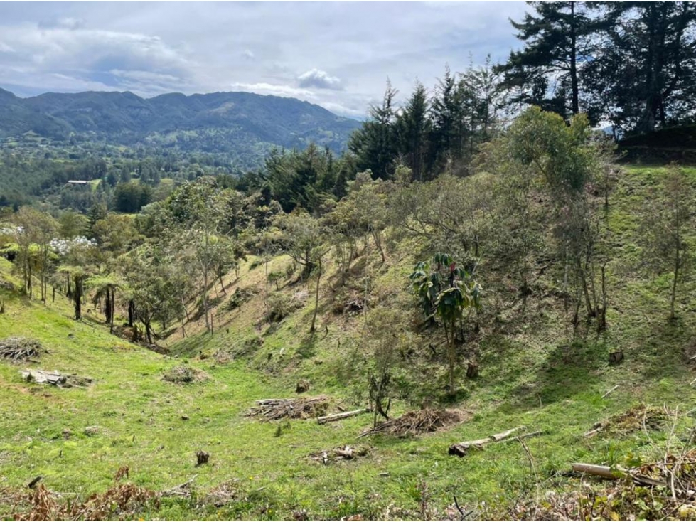 Land in Santa Elena (65 m²) for Sale - 2