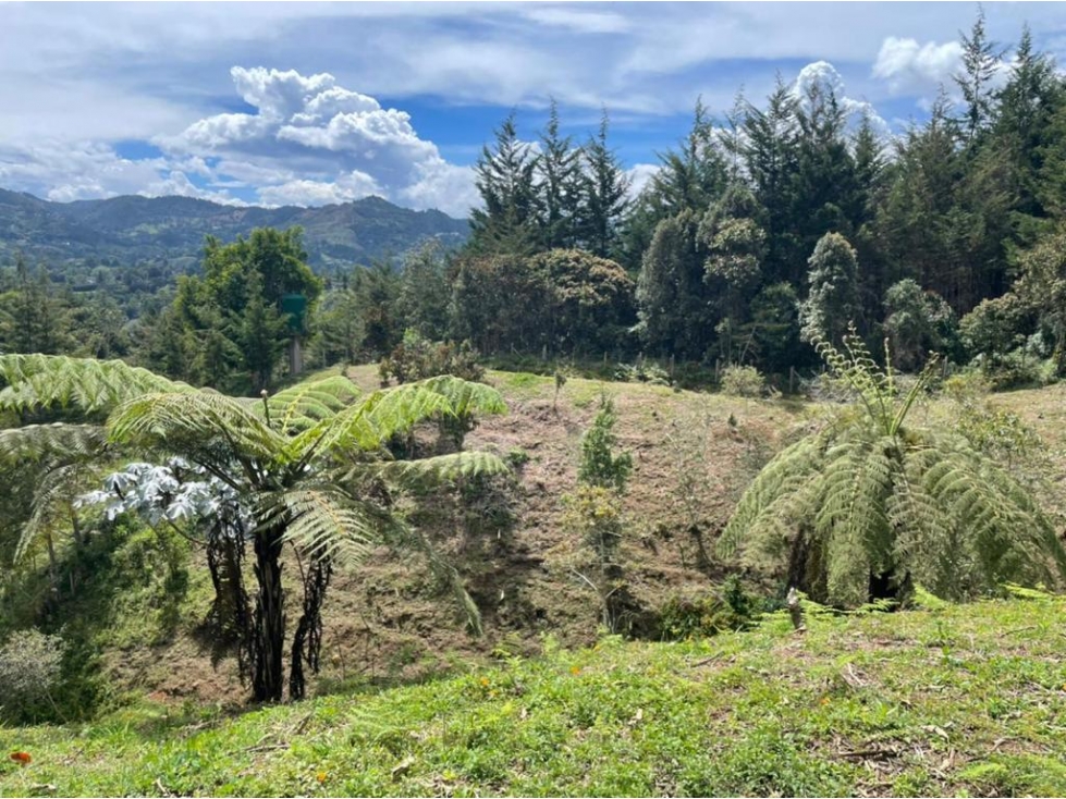 Land in Santa Elena (65 m²) for Sale - 3