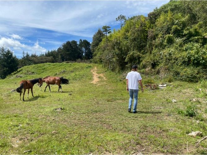 Lote en venta en Santa Elena, El Retiro, 65 m² · foto 8 de 24