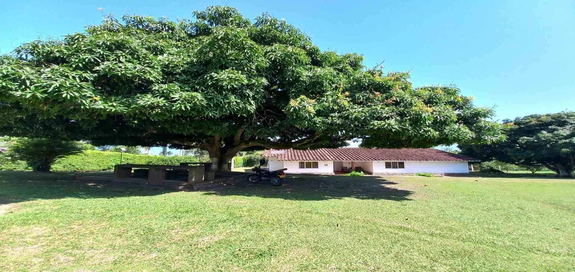 Casa en venta en Cerritos, Pereira · foto 7 de 24