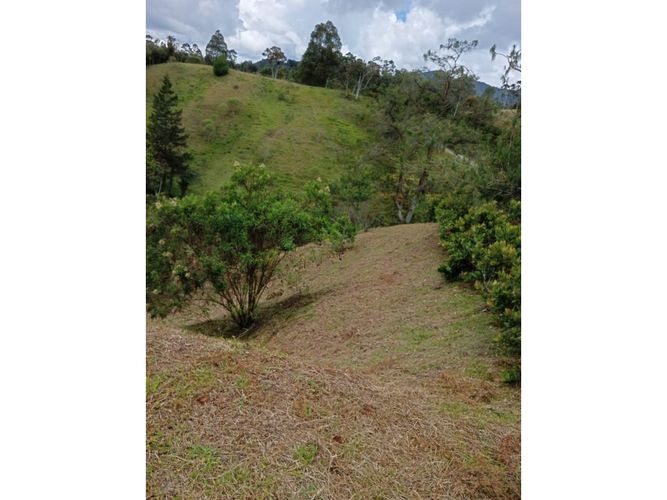 Lote en venta en Pantanillo, El Retiro, 9211 m² · foto 2 de 24