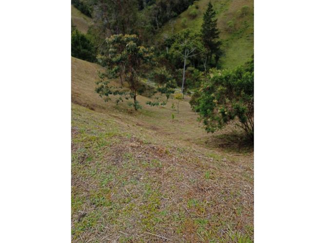 Lote en venta en Pantanillo, El Retiro, 9211 m² · foto 3 de 24