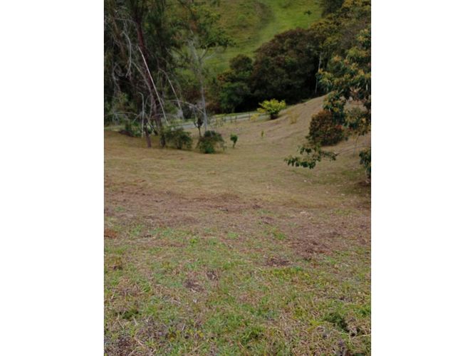 Lote en venta en Pantanillo, El Retiro, 9211 m² · foto 4 de 24