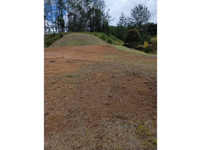 Lote en venta en Pantanillo, El Retiro, 9211 m² · foto 5 de 24