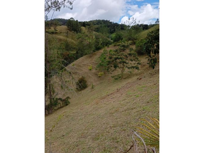 Lote en venta en Pantanillo, El Retiro, 9211 m² · foto 8 de 24