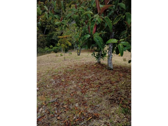 Lote en venta en Pantanillo, El Retiro, 9211 m² · foto 10 de 24