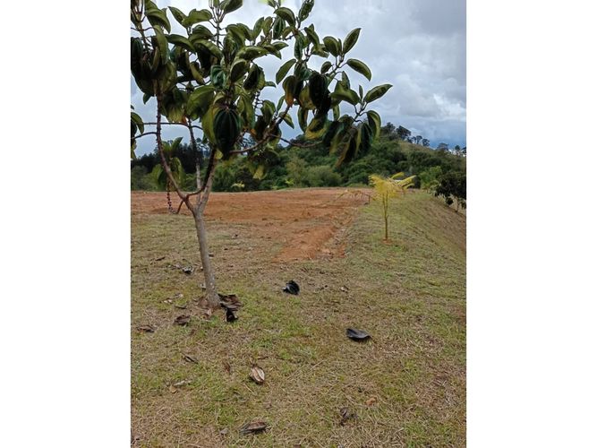 Lote en venta en Pantanillo, El Retiro, 9211 m² · foto 11 de 24