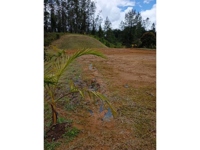 Lote en venta en Pantanillo, El Retiro, 9211 m² · foto 12 de 24