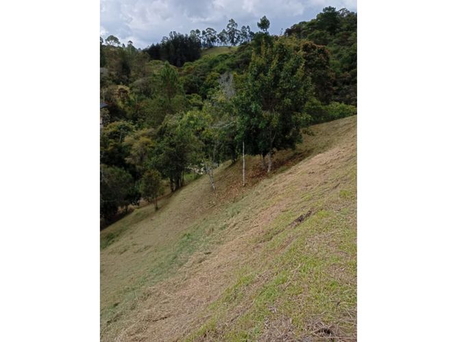 Lote en venta en Pantanillo, El Retiro, 9211 m² · foto 13 de 24