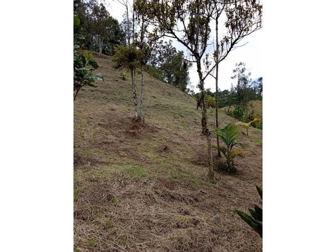 Lote en venta en Pantanillo, El Retiro, 9211 m² · foto 14 de 24