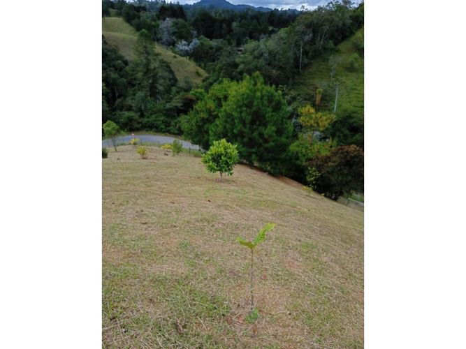 Lote en venta en Pantanillo, El Retiro, 9211 m² · foto 16 de 24