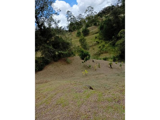 Lote en venta en Pantanillo, El Retiro, 9211 m² · foto 17 de 24