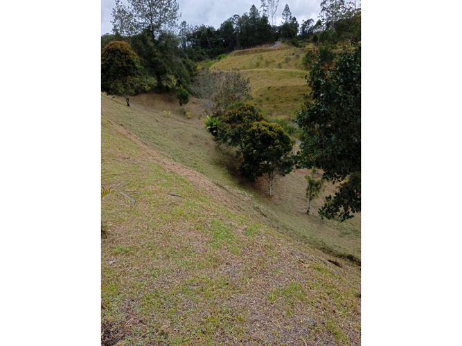 Lote en venta en Pantanillo, El Retiro, 9211 m² · foto 18 de 24