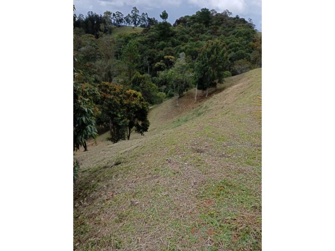 Lote en venta en Pantanillo, El Retiro, 9211 m² · foto 21 de 24