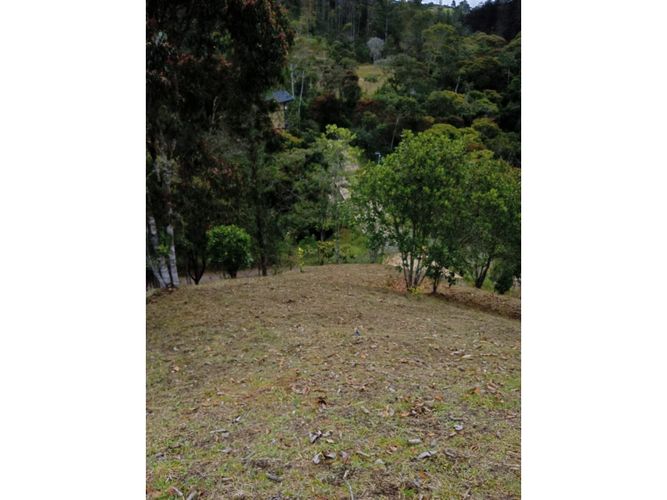 Lote en venta en Pantanillo, El Retiro, 9211 m² · foto 22 de 24