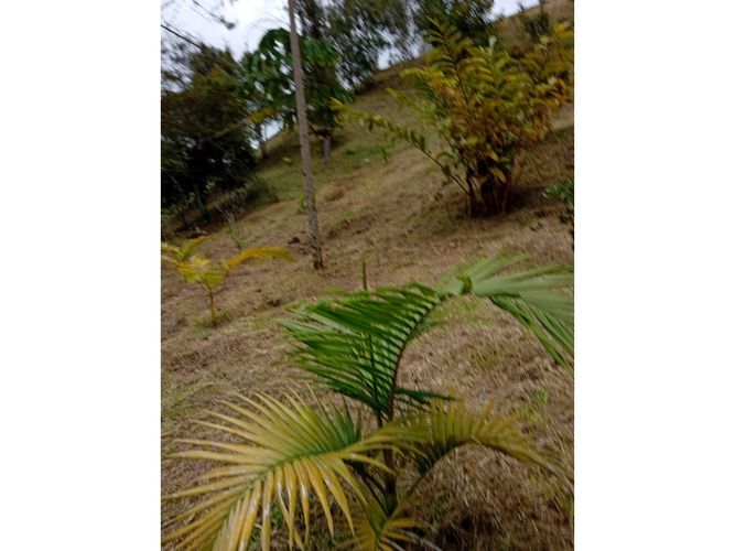 Lote en venta en Pantanillo, El Retiro, 9211 m² · foto 23 de 24