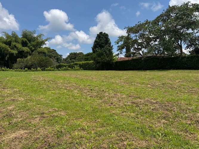 Lote en venta en Cerritos, Pereira, 2050 m² · foto 2 de 12