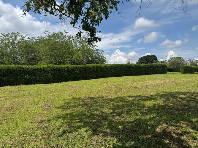 Lote en venta en Cerritos, Pereira, 2050 m² · foto 9 de 12