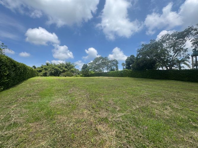 Lote en venta en Cerritos, Pereira, 2050 m² · foto 6 de 12