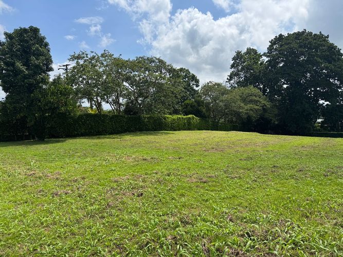 Lote en venta en Cerritos, Pereira, 2050 m² · foto 8 de 12