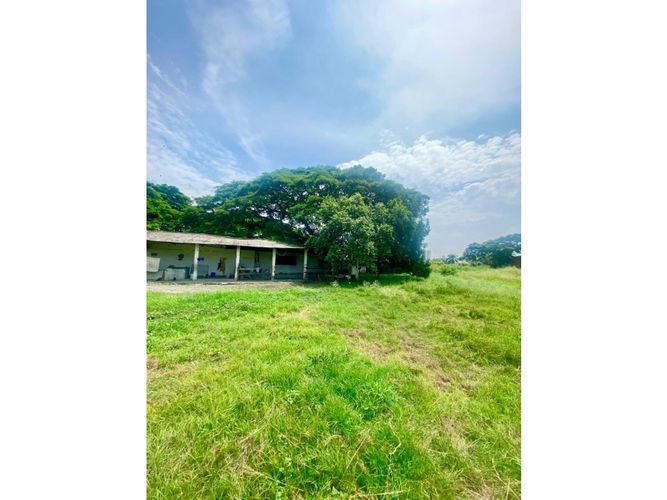 Lote en venta en Palmaseca, Palmira, 14400 m² · foto 2 de 6