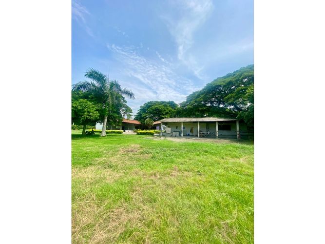 Lote en venta en Palmaseca, Palmira, 14400 m² · foto 3 de 6