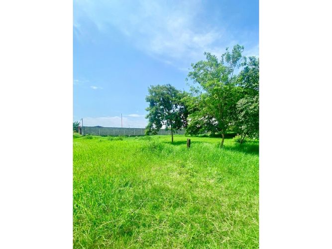 Lote en venta en Palmaseca, Palmira, 14400 m² · foto 4 de 6