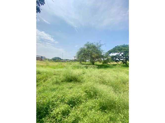Lote en venta en Palmaseca, Palmira, 14400 m² · foto 5 de 6
