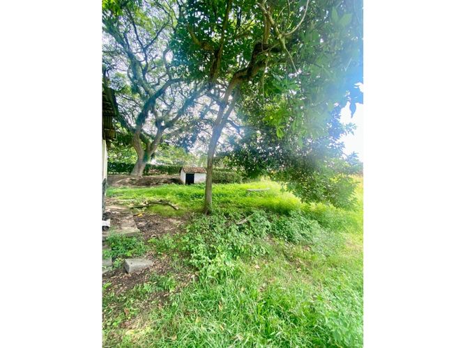 Lote en venta en Palmaseca, Palmira, 14400 m² · foto 6 de 6