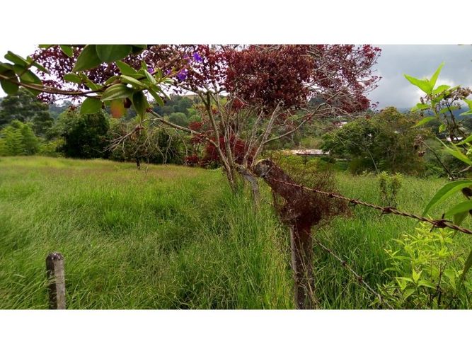 Lote en venta en Norte De Armenia, Armenia, 23000 m² · foto 6 de 12