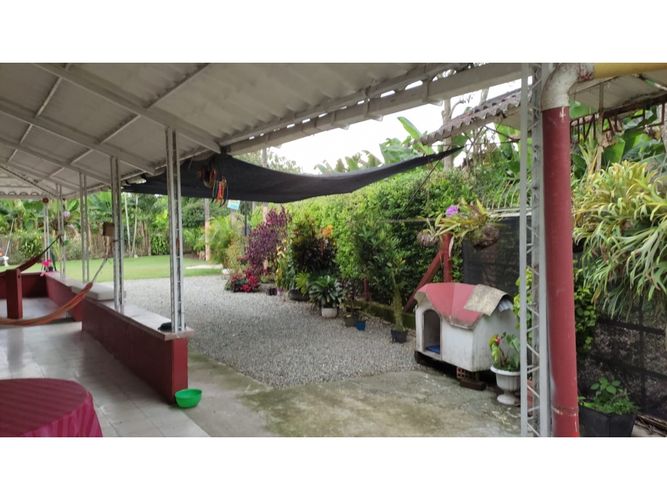 Finca en venta en Centro, Armenia, 10000 m² · foto 23 de 24