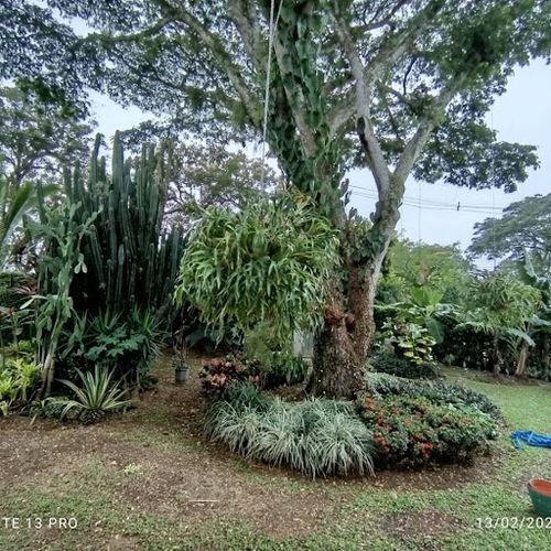 Casa de 6 alcobas en venta en Ub. La Union, Jamundí · foto 12 de 23
