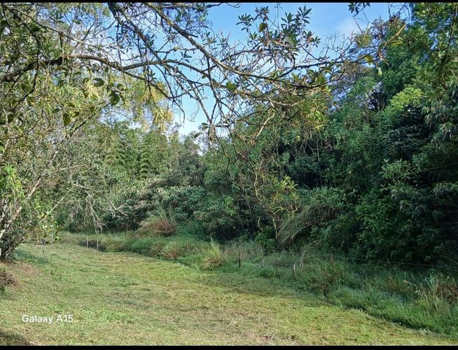 Lote en venta en Chagualo, Marinilla, 3950 m² · foto 3 de 8