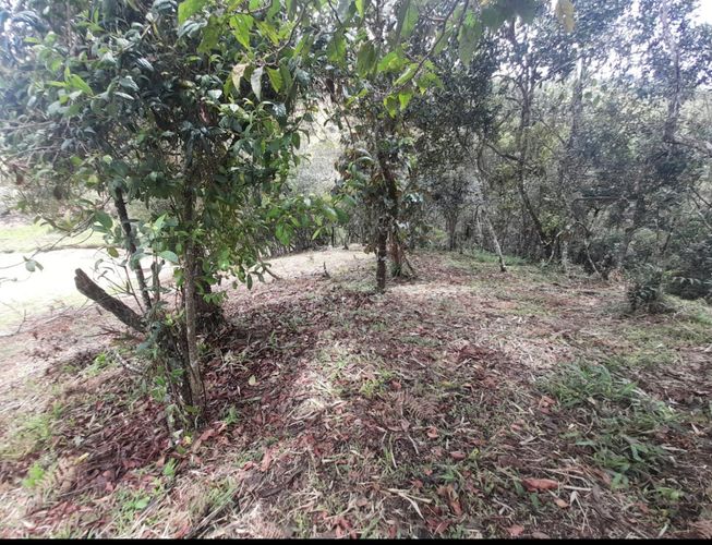 Lote en venta en Chagualo, Marinilla, 3950 m² · foto 4 de 8