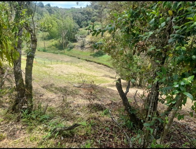 Lote en venta en Chagualo, Marinilla, 3950 m² · foto 7 de 8