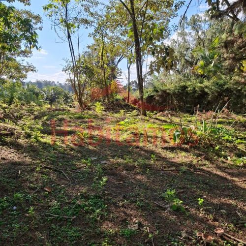 Lote en venta en Los Pinos, Rionegro, 7950 m² · foto 2 de 14