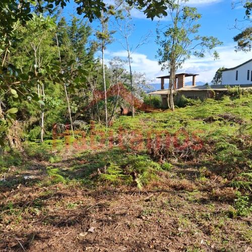 Lote en venta en Los Pinos, Rionegro, 7950 m² · foto 3 de 14