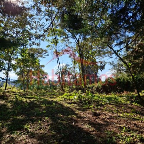 Lote en venta en Los Pinos, Rionegro, 7950 m² · foto 4 de 14