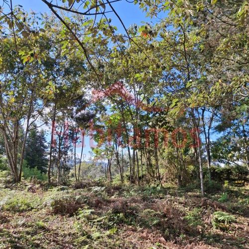 Lote en venta en Los Pinos, Rionegro, 7950 m² · foto 6 de 14