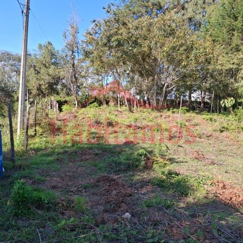 Lote en venta en Los Pinos, Rionegro, 7950 m² · foto 7 de 14