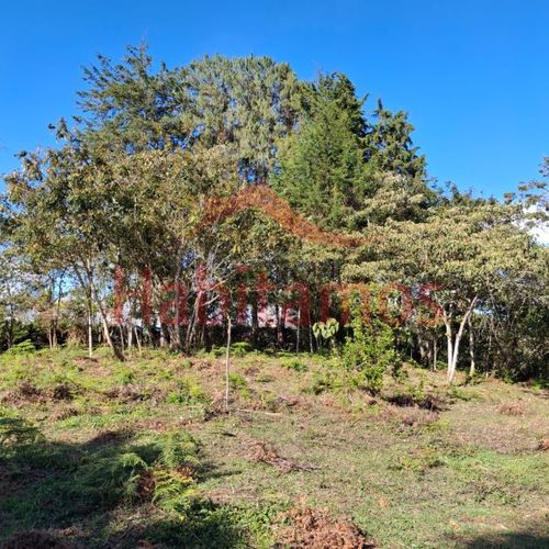 Lote en venta en Los Pinos, Rionegro, 7950 m² · foto 8 de 14