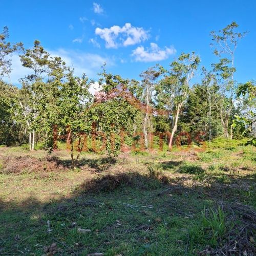 Lote en venta en Los Pinos, Rionegro, 7950 m² · foto 9 de 14