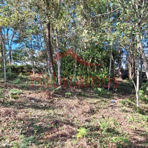 Lote en venta en Los Pinos, Rionegro, 7950 m² · foto 10 de 14