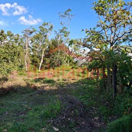Lote en venta en Los Pinos, Rionegro, 7950 m² · foto 11 de 14
