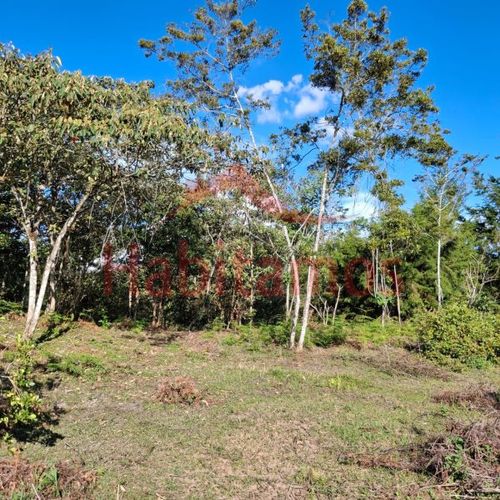 Lote en venta en Los Pinos, Rionegro, 7950 m² · foto 12 de 14